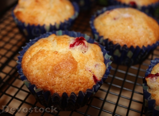 Devostock Cranberry Muffin Almond Bake