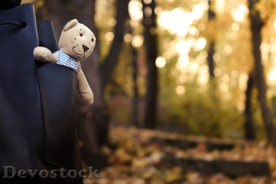 Devostock Cute Teddy Bear Toy 2375
