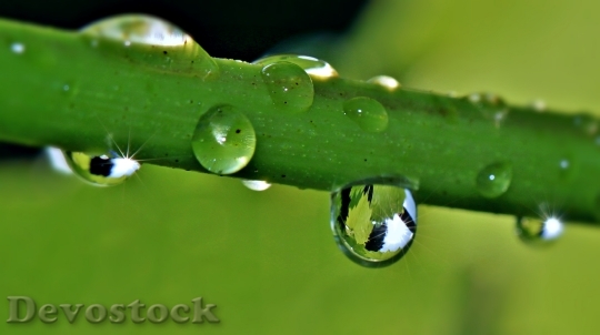 Devostock Drip Raindrop Drop Water 1