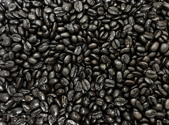 Devostock Espresso Coffee Beans Cafe 0