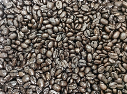 Devostock Espresso Coffee Beans Cafe