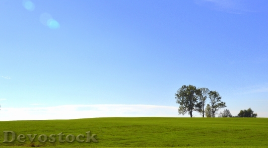 Devostock Field Landscape Sky Tree