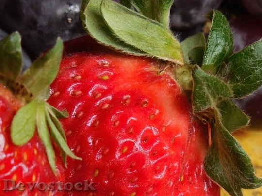 Devostock Fruit Strawberry Seeds Food