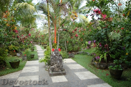 Devostock Garden Tropical Bali Peace