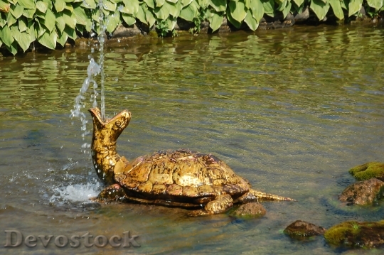 Devostock Gold Tortoise Fountain Antiques