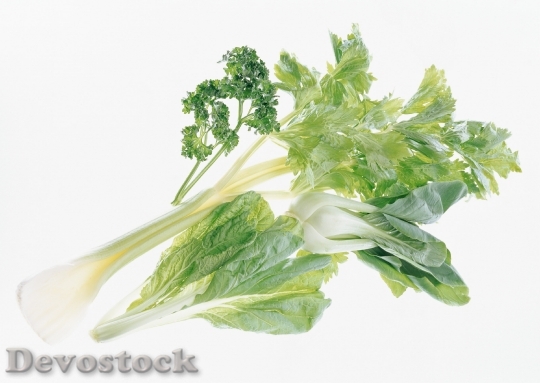 Devostock Green Celery Bok Choy