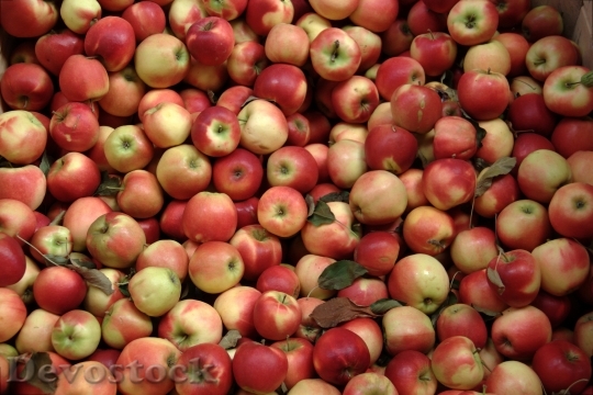 Devostock Group Red Apples With