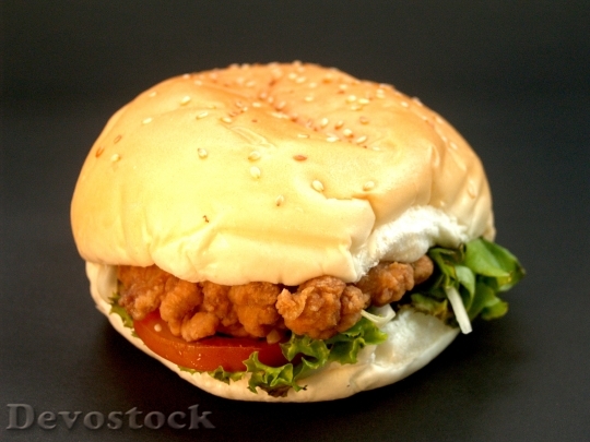 Devostock Hamburger Burger Bun Grilled 14