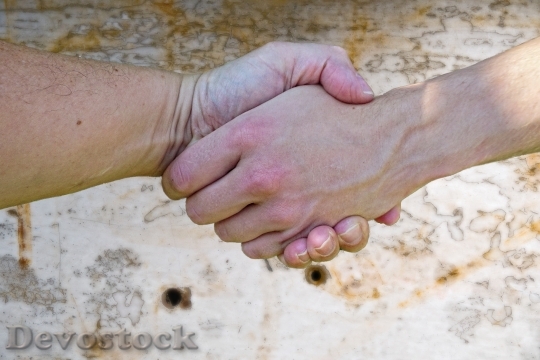 Devostock Hand Hands Handshake Human