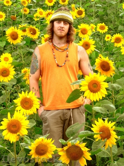 Devostock Hippie Sunflowers Yellow Natural