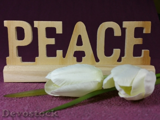 Devostock Hope Peace Decoration Flowers 3