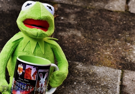 Devostock Kermit Cup Drink Coffee 0