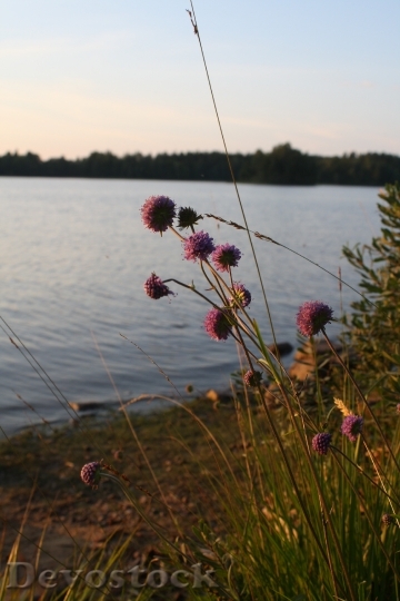 Devostock Lake Sweden Calm Serenity 0