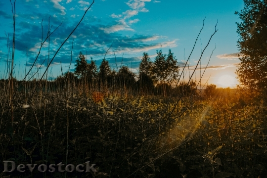 Devostock Landscape Sunset Clouds 9702