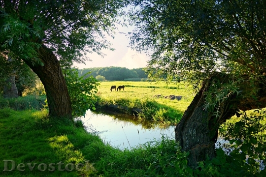Devostock Landscape Water Meadow 1478