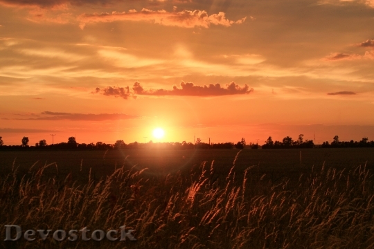 Devostock Light Dawn Landscape 3062