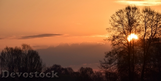 Devostock Light Dawn Landscape 4151