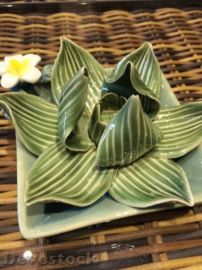 Devostock Lotus Ceramics Coffee Table