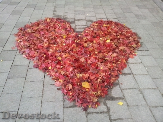 Devostock Love Autumn Leaves Trail
