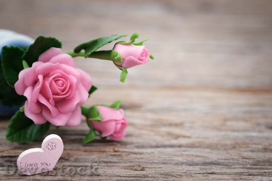 Devostock Love Heart Flowers 10207