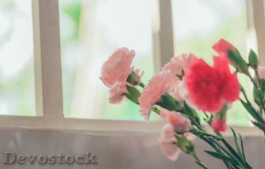 Devostock Love Romantic Flowers 11256