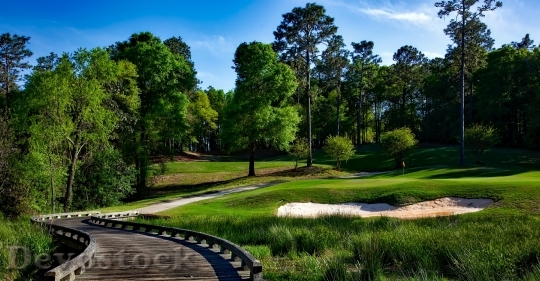 Devostock Magnolia Golf Course Mobile Alabama Golfing 163886 4K.jpeg
