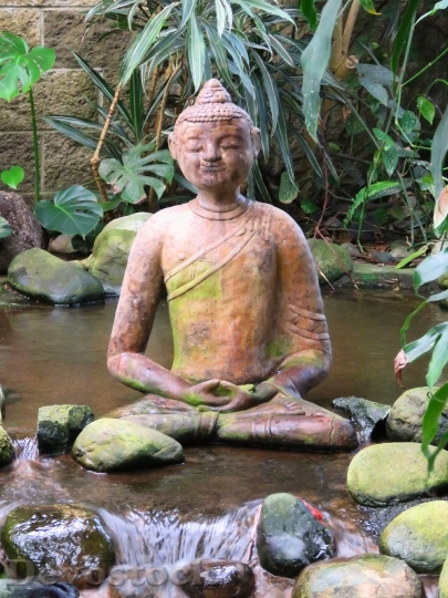 Devostock Meditate Statue Buddhism Zen