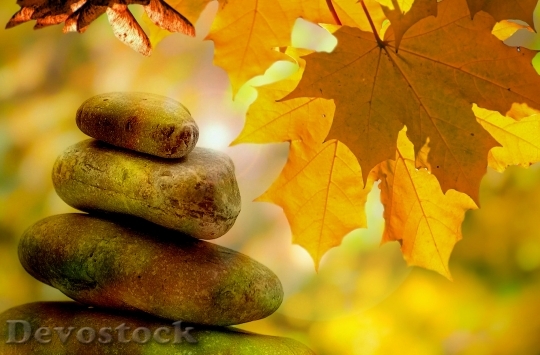 Devostock Meditation Balance Rest Autumn