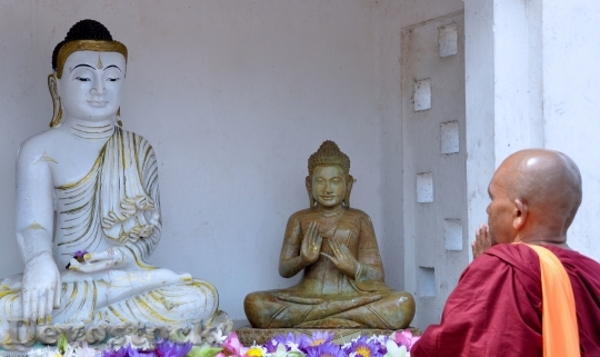 Devostock Monk Buddha Love Peace