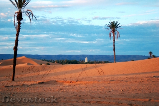 Devostock Morocco Africa Desert Marroc 10