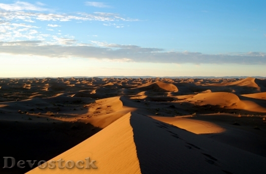Devostock Morocco Africa Desert Marroc 5