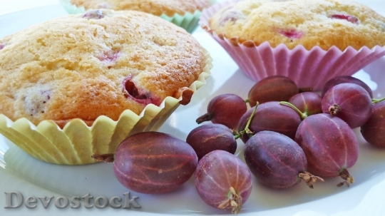 Devostock Muffins Gooseberry Pink Bake