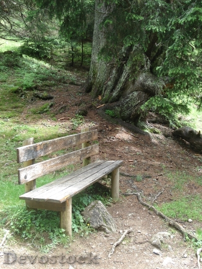 Devostock Nature Bank Wooden Bench