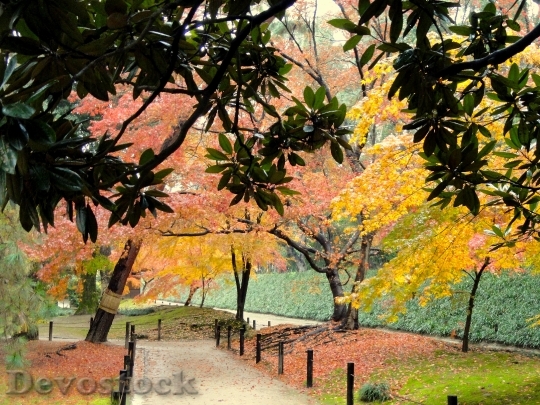 Devostock Okayama Japan Park Fall
