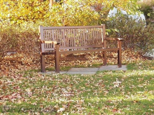 Devostock Park Bench Bench Seat 1