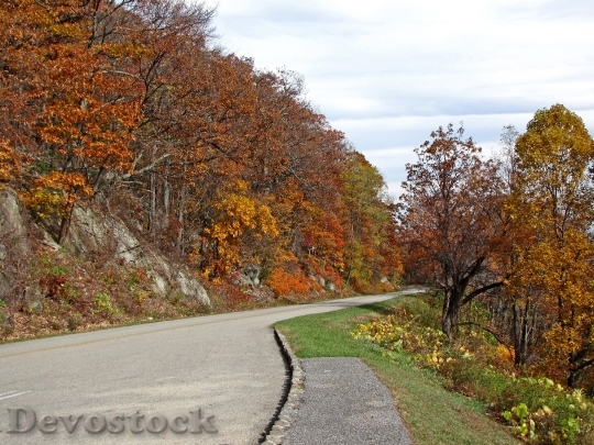 Devostock Parkway Virginia Nature Landscape