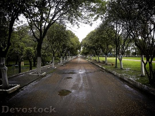 Devostock Path Peace Rainy Moisture