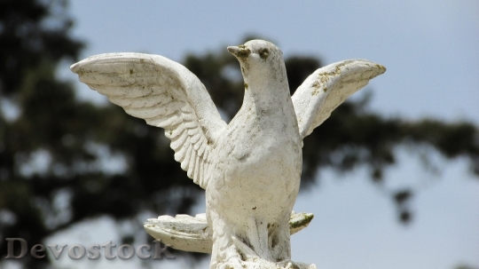 Devostock Peace Pigeon White Symbol