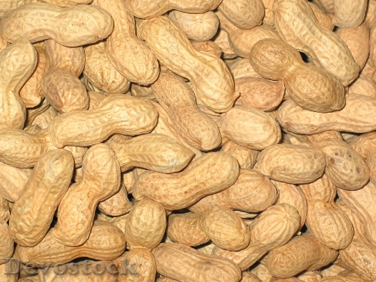 Devostock Peanuts Christmas Nuts Background 0
