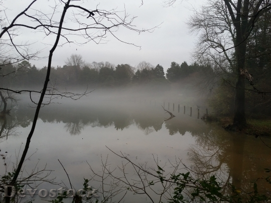 Devostock Pond Lake Calm Gloomy
