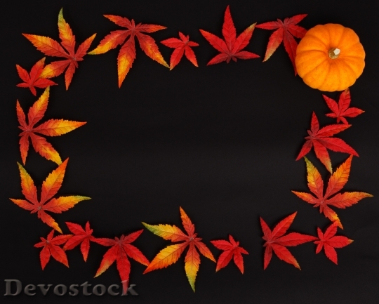 Devostock Pumpkin Autumn Background Dark 0