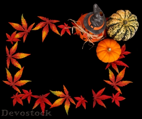 Devostock Pumpkin Autumn Background Dark 1
