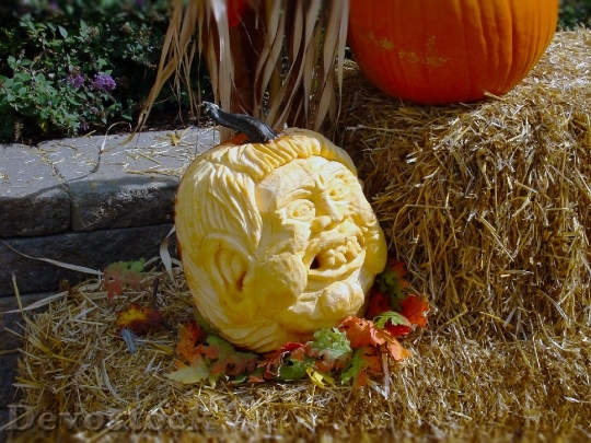 Devostock Pumpkins Carving Face Carved