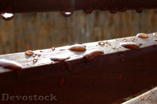 Devostock Raindrop Dew Wood Dewdrop