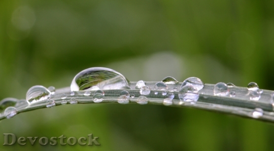 Devostock Raindrop Dewdrop Drop Water