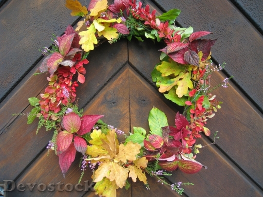Devostock Rim Autumn Leaves Colors