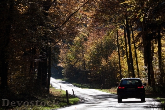 Devostock Road Auto Forest Autumn 0