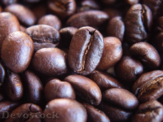 Devostock Roasted Coffee Beans 0