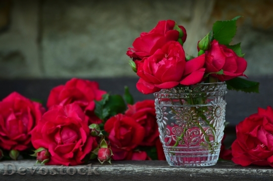 Devostock Roses Red Roses Bouquet Of Roses Glss 4K