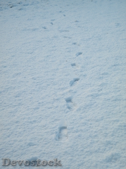 Devostock Snow Footprints Path White